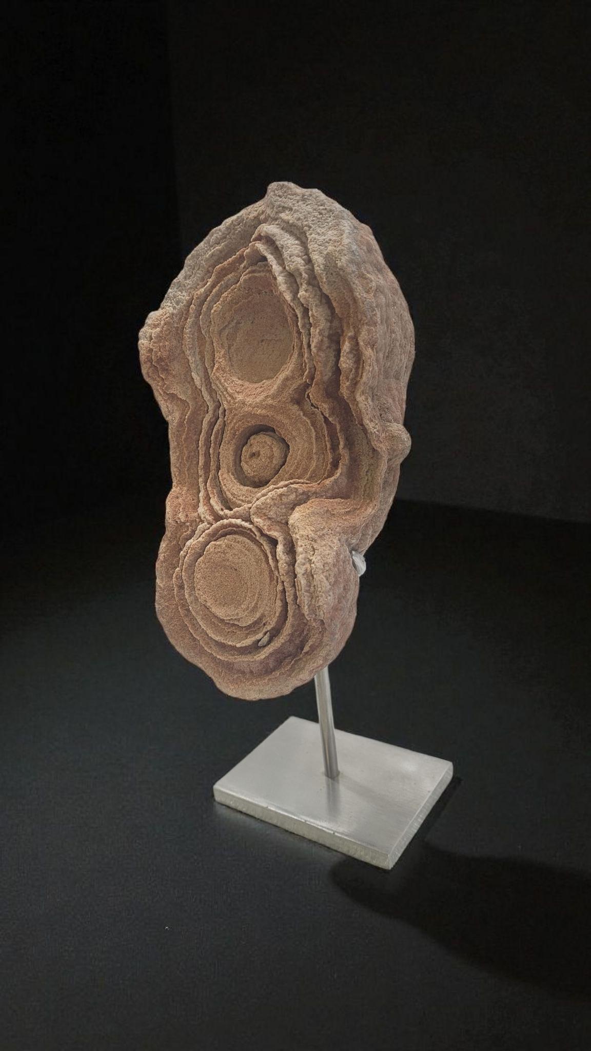 Concrezione di pseudostromatolite dal Marocco In condizioni Nuovo in vendita a MARSEILLE, FR