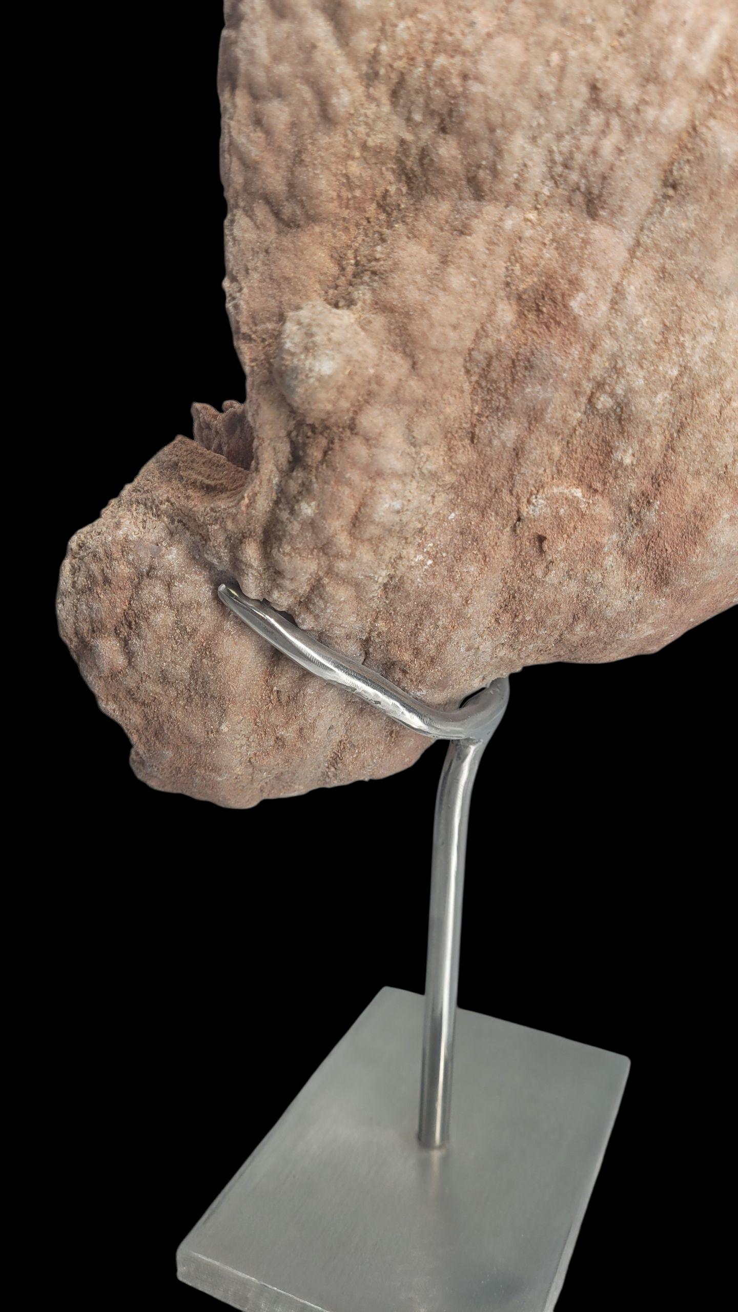 XXI secolo e contemporaneo Concrezione di pseudostromatolite dal Marocco in vendita