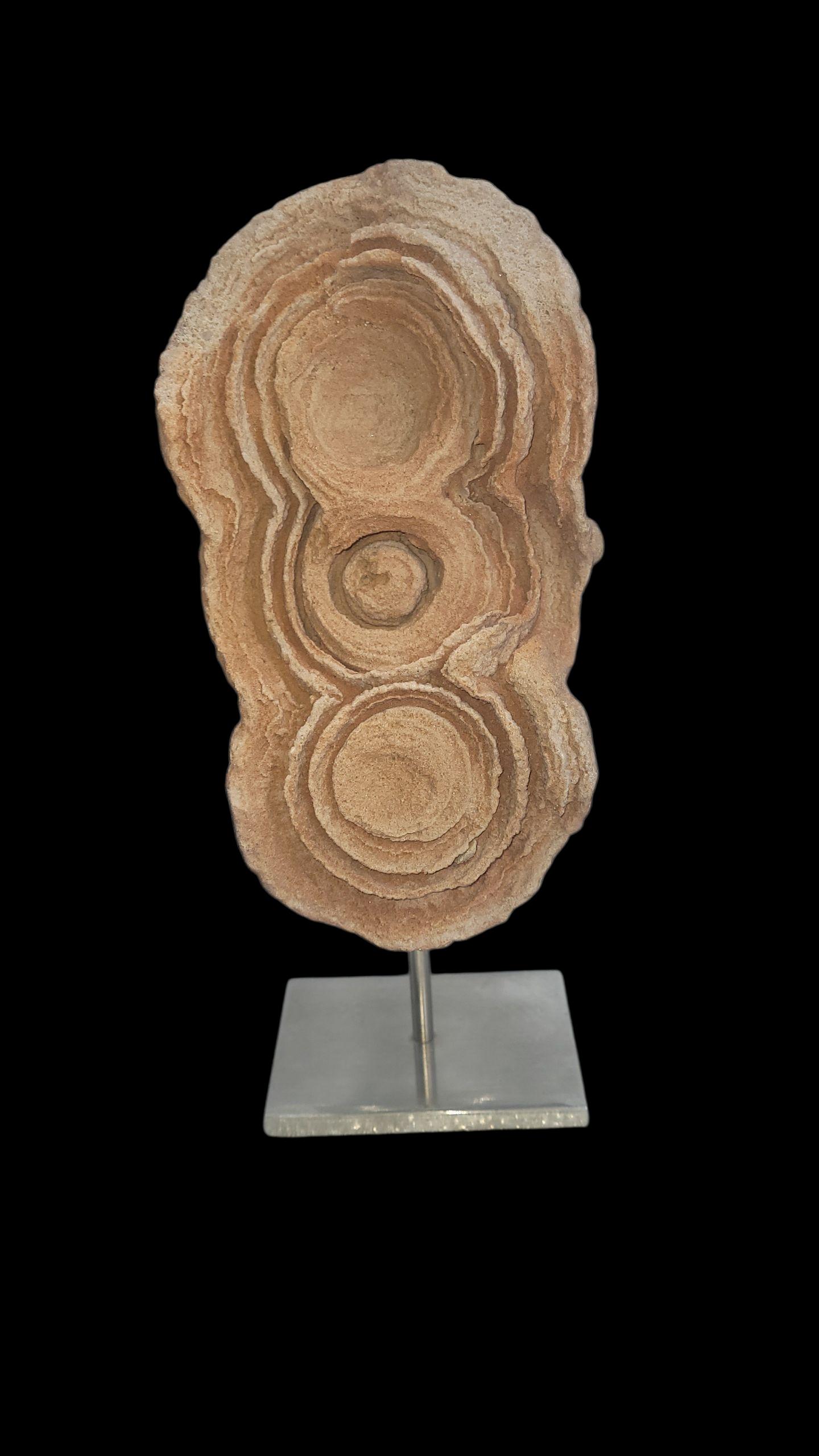 Pietra Concrezione di pseudostromatolite dal Marocco in vendita