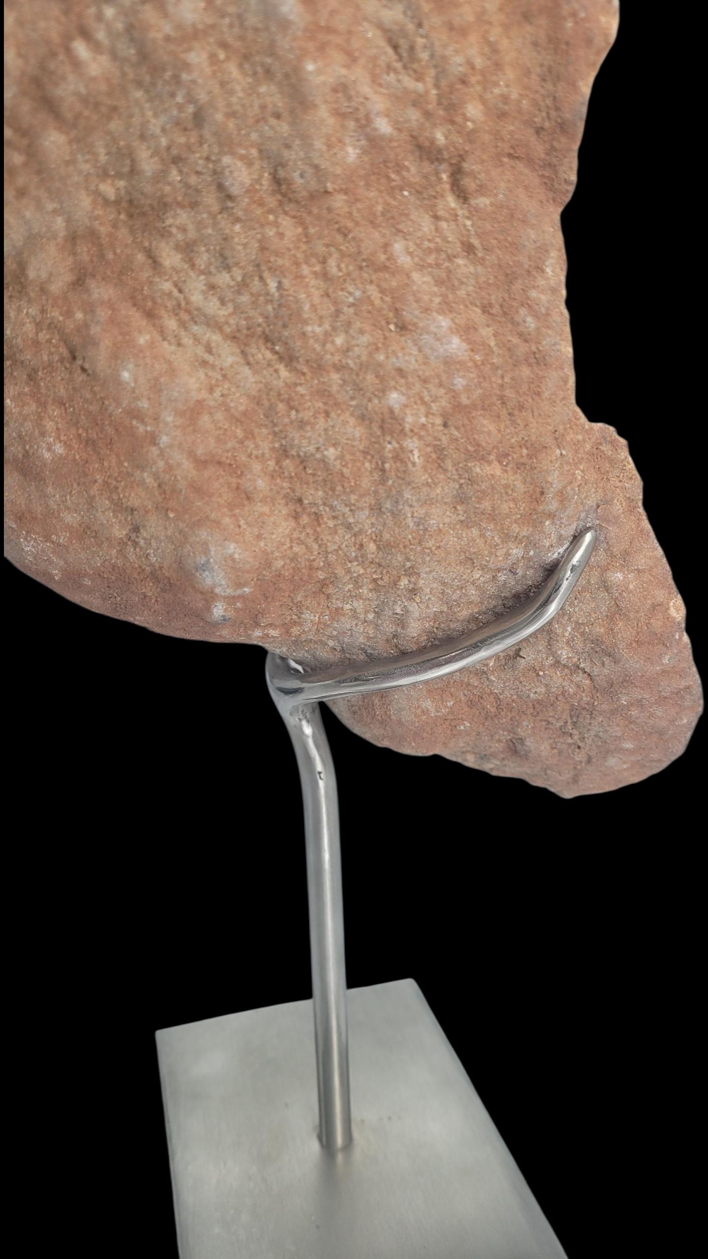 Concrezione di pseudostromatolite dal Marocco in vendita 1