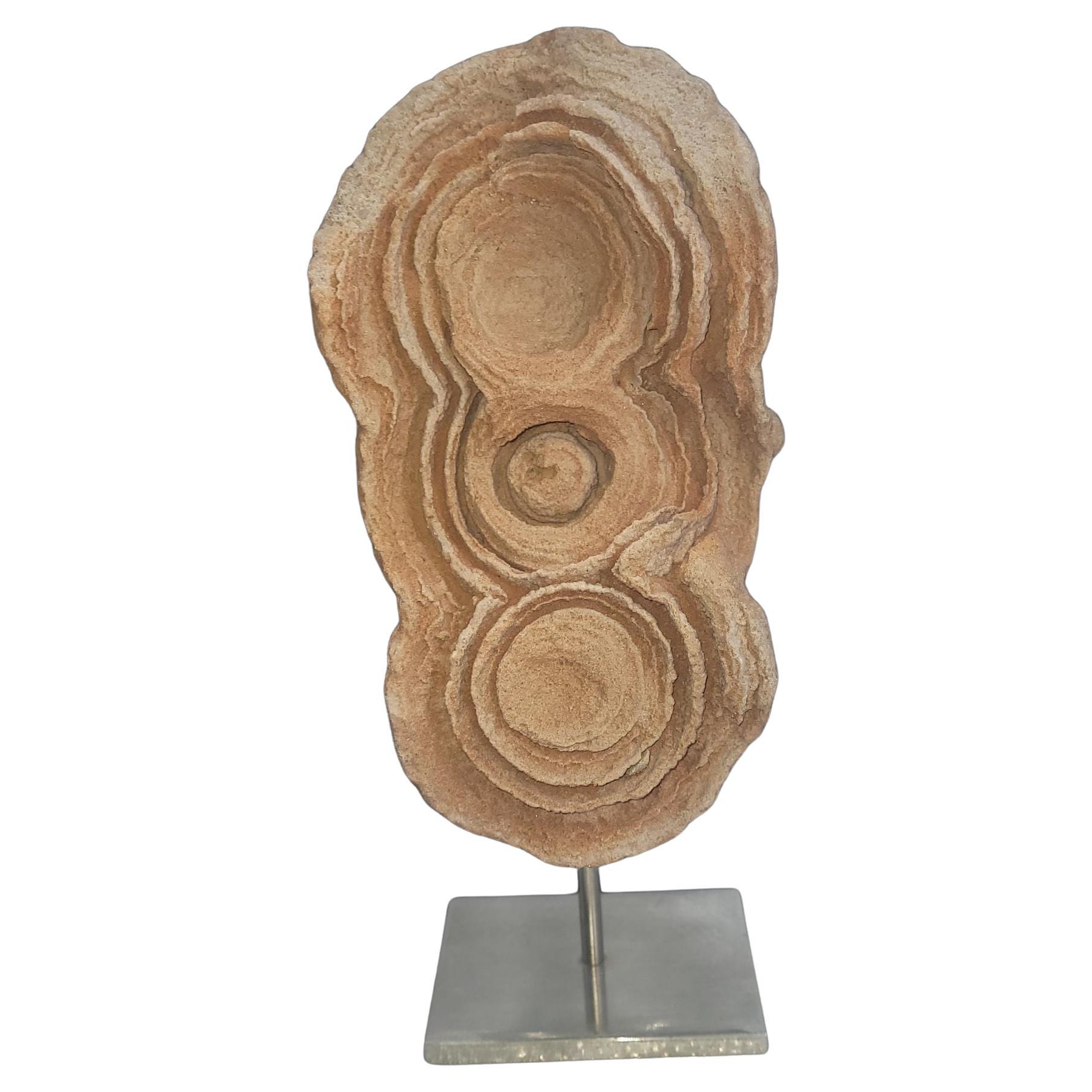 Concrezione di pseudostromatolite dal Marocco