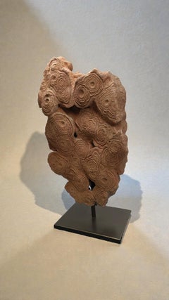 Pseudostromatolite du Maroc