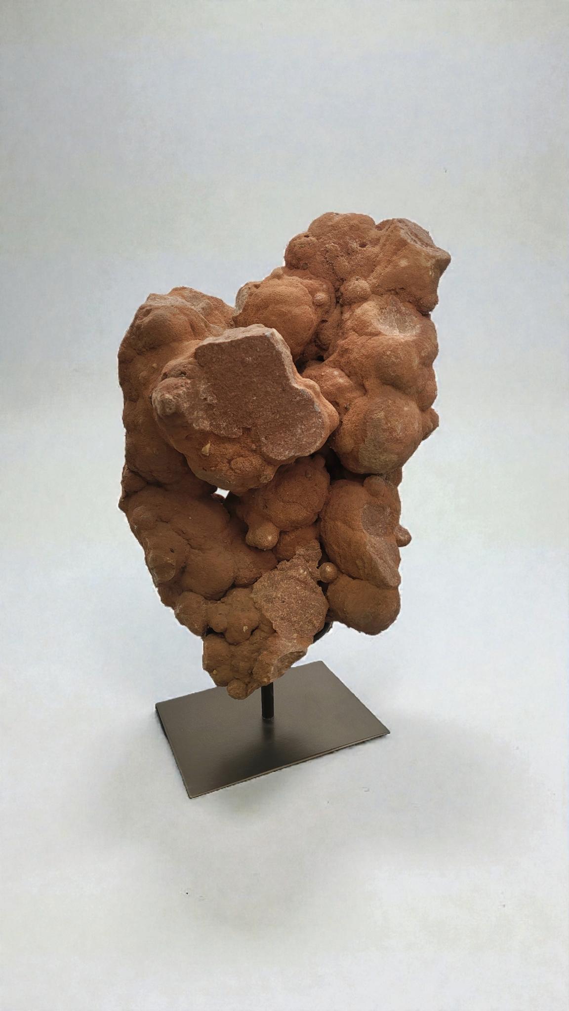 Pseudostromatolite du Maroc en vente 2