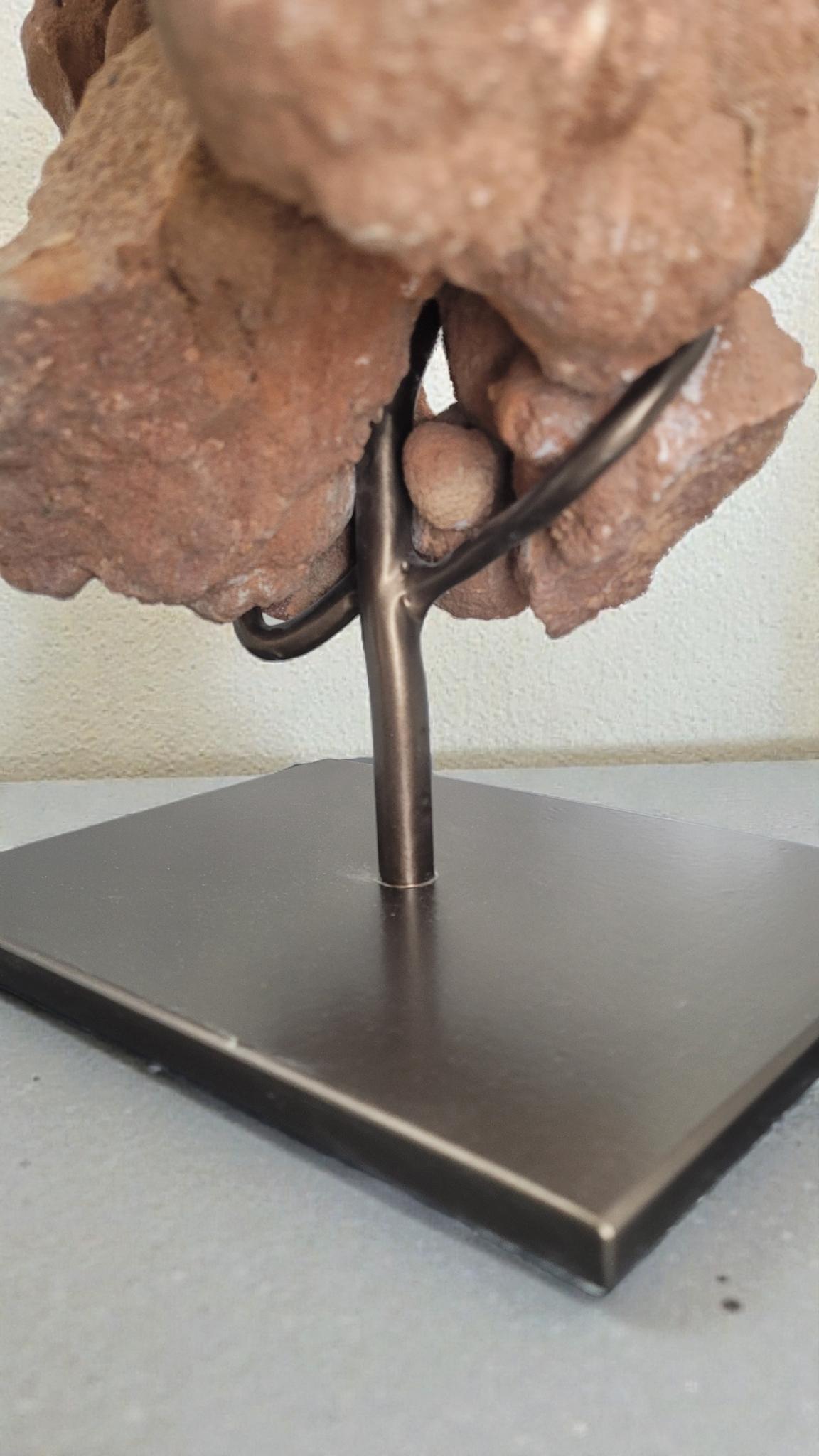 Pseudostromatolite du Maroc en vente 3