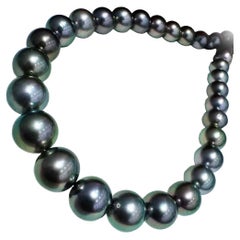 PSL Certificate Aurora 8-11mm Peacock Green Tahitian Pearl Necklace