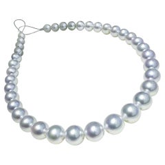 PSL PHOENIX Certificate 10.1-12mm South Sea Pearl Necklace