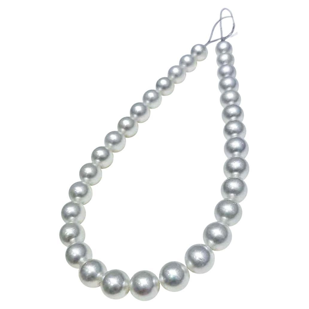 PSL PHOENIX Certified 12–13.7mm South Sea Pearl Graduated Necklace