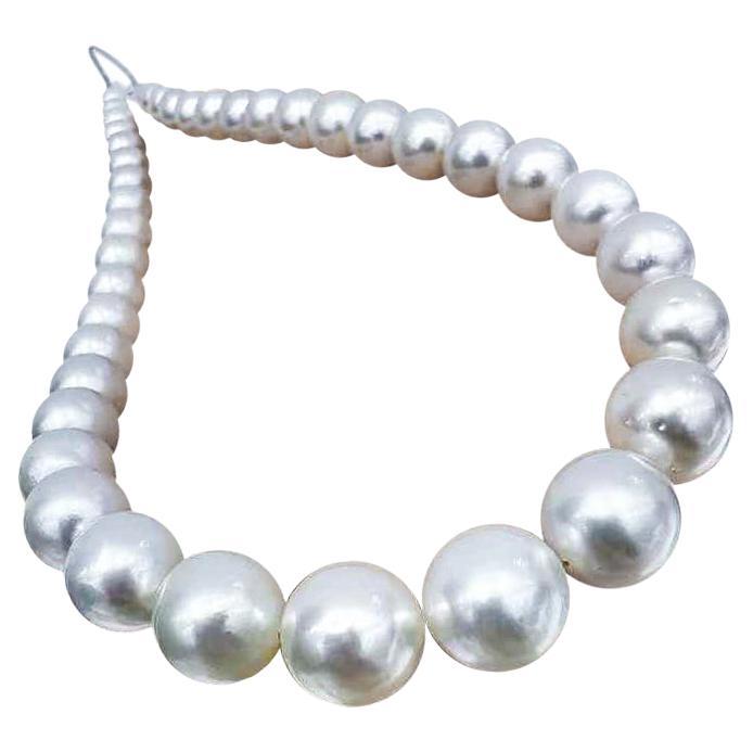 PSL PHOENIX Certificate 9-11.8mm South Sea Pearl Necklace