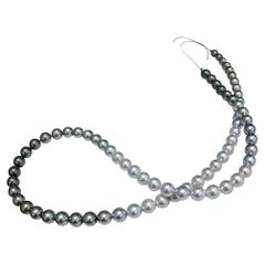 PSL SHIKISAI Certificate Akoya Pearl & Tahitian Pearl Ombre Necklace
