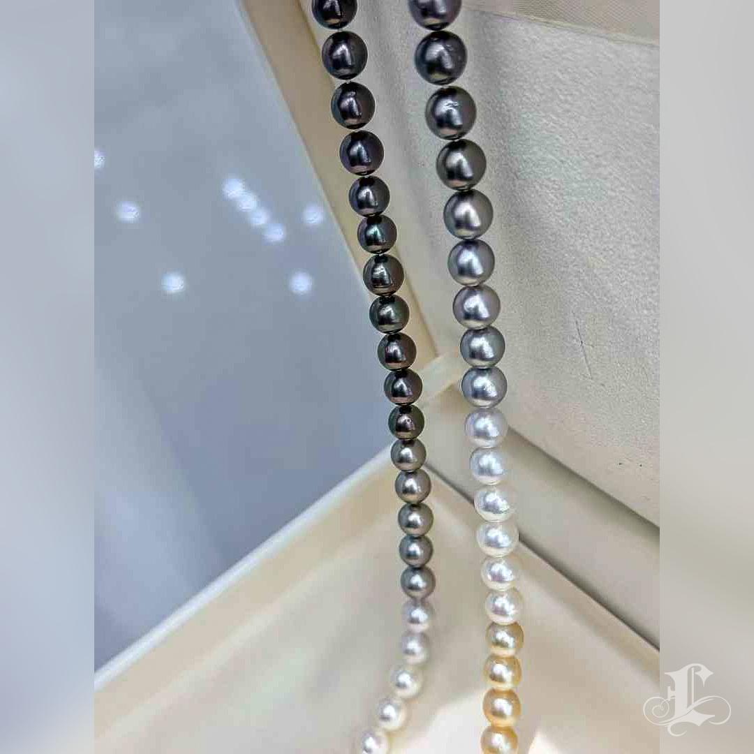 Women's SHIKISAI Ombre South Sea, Tahitian & Akoya Pearl Necklace - 65cm with Invisible
