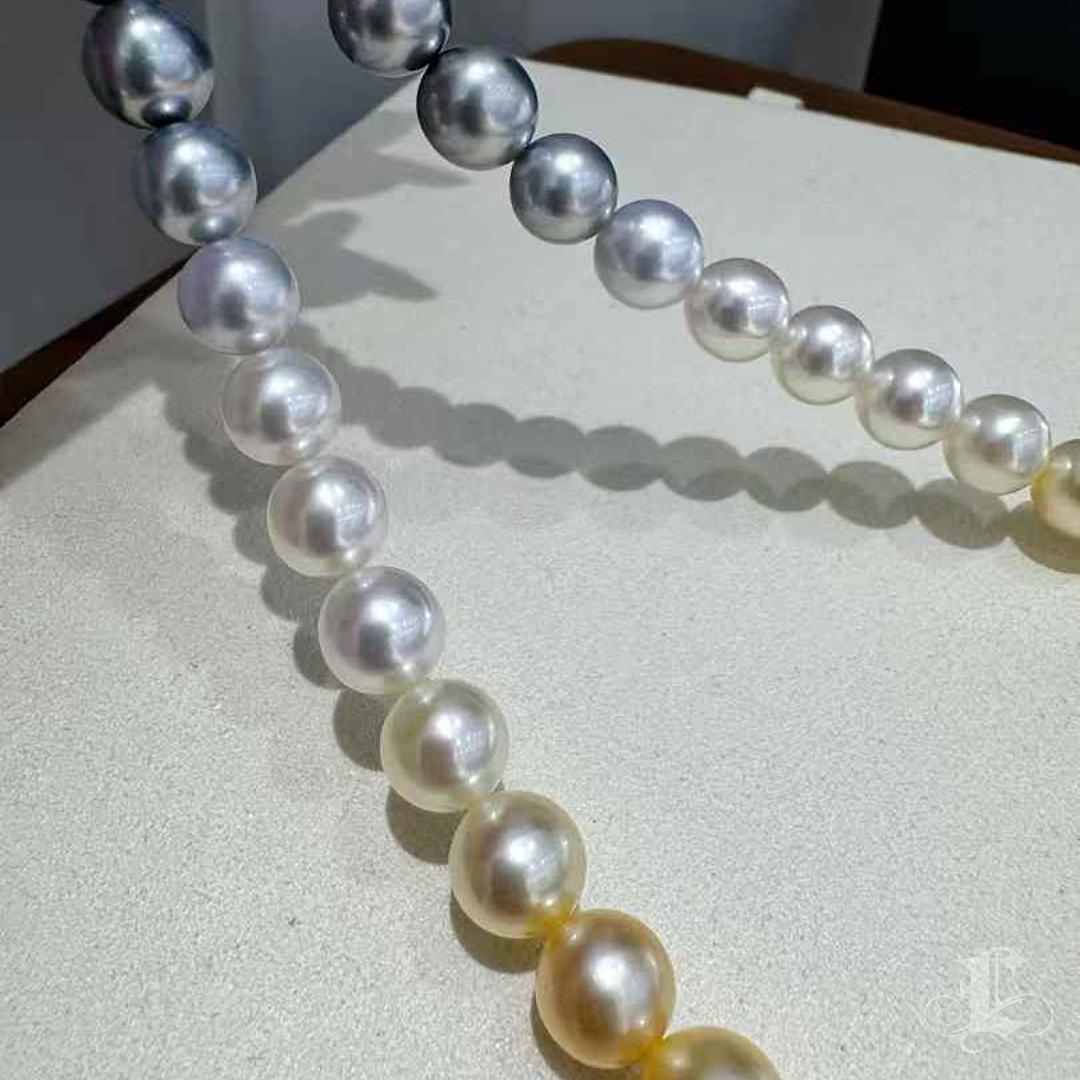 PSL SHIKISAI Certificate South Sea Pearl & Tahitian Pearl Ombre Necklace 5