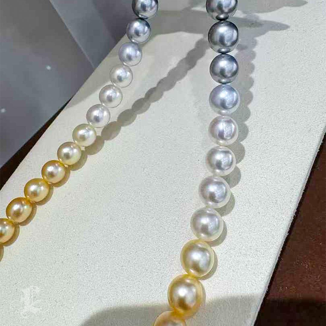 PSL SHIKISAI Certificate South Sea Pearl & Tahitian Pearl Ombre Necklace 2