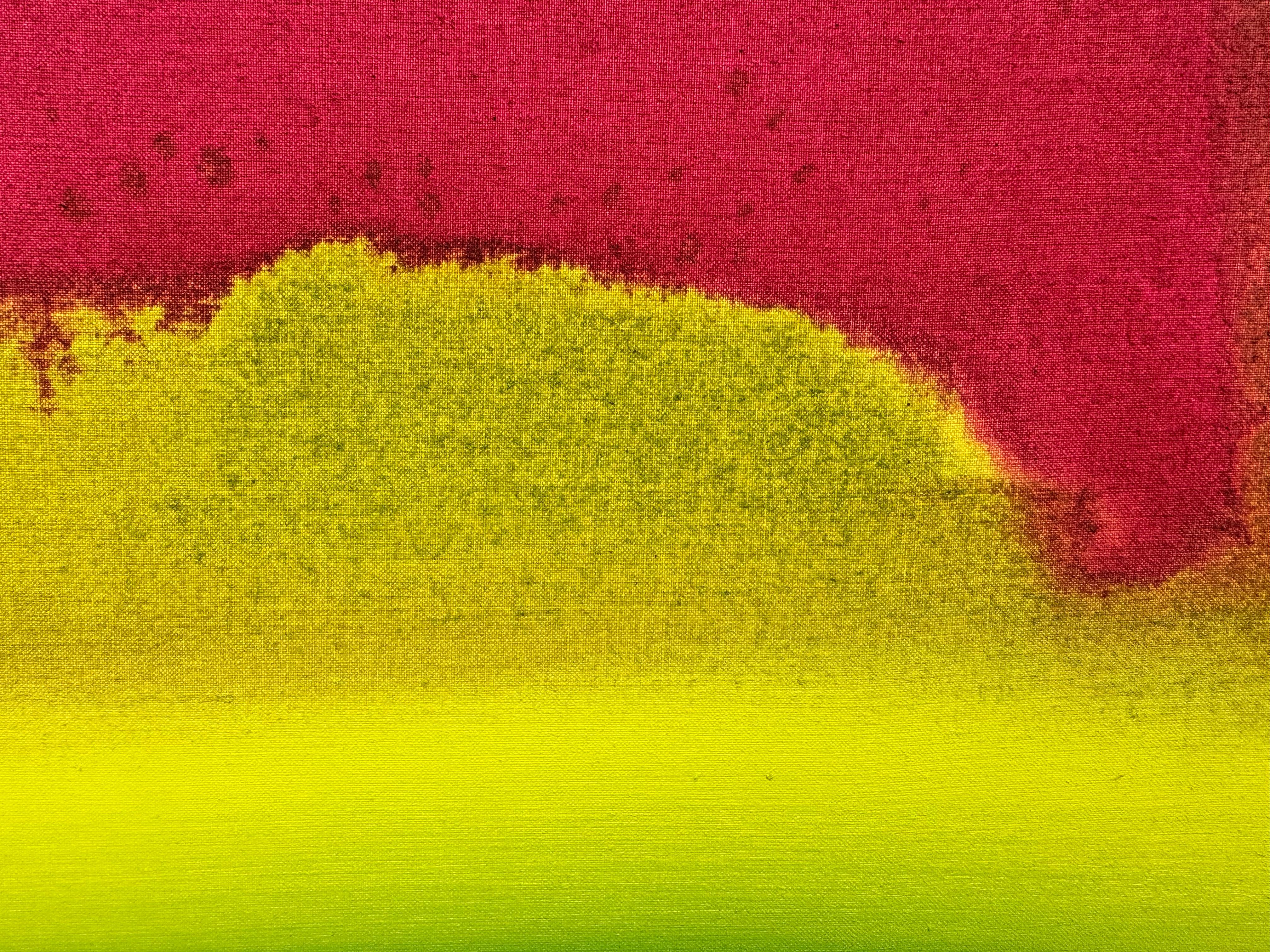 Magenta Lime , 2023, Ptolemy Mann For Sale 3
