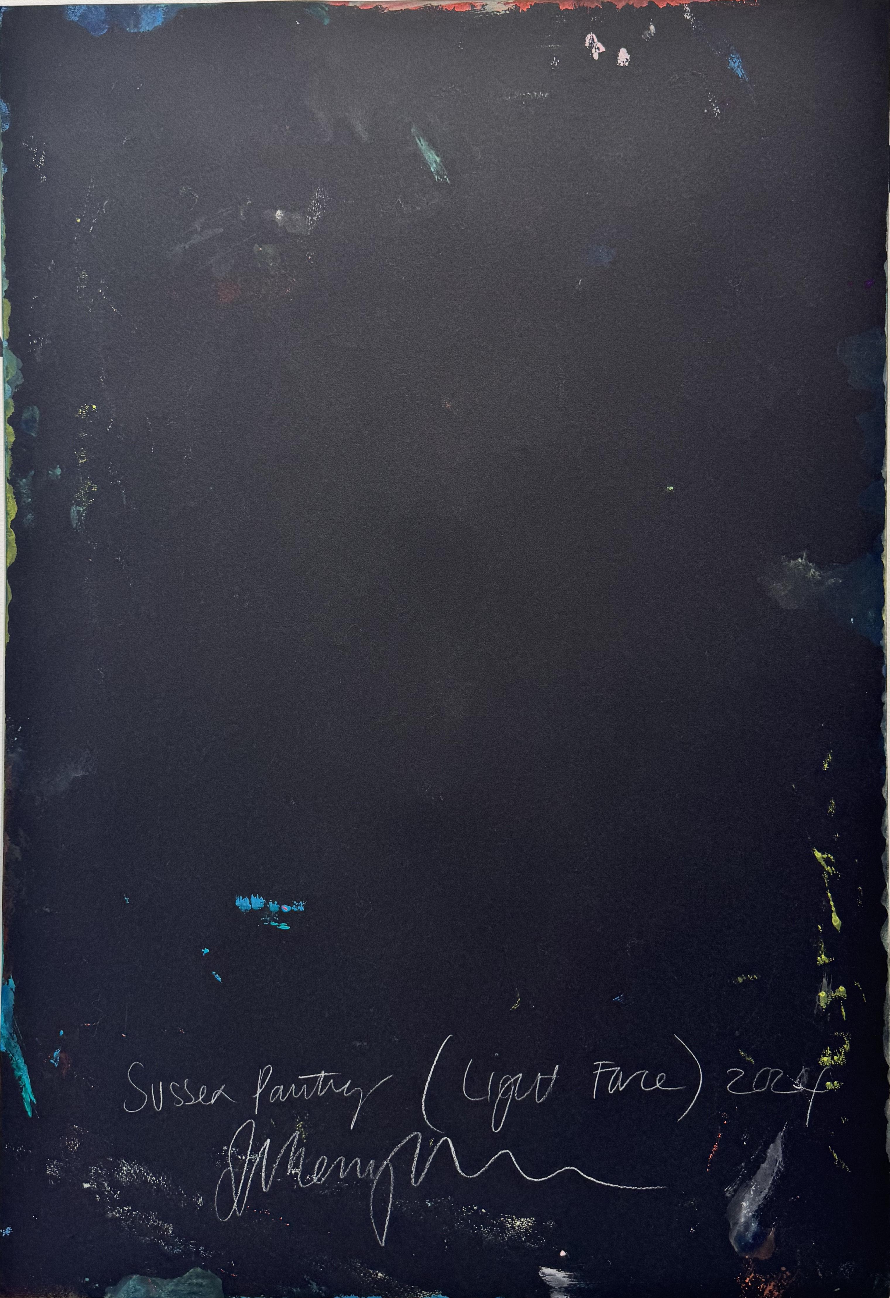 Sussex Painting (Light Force), 2024, Ptolemy Mann For Sale 1