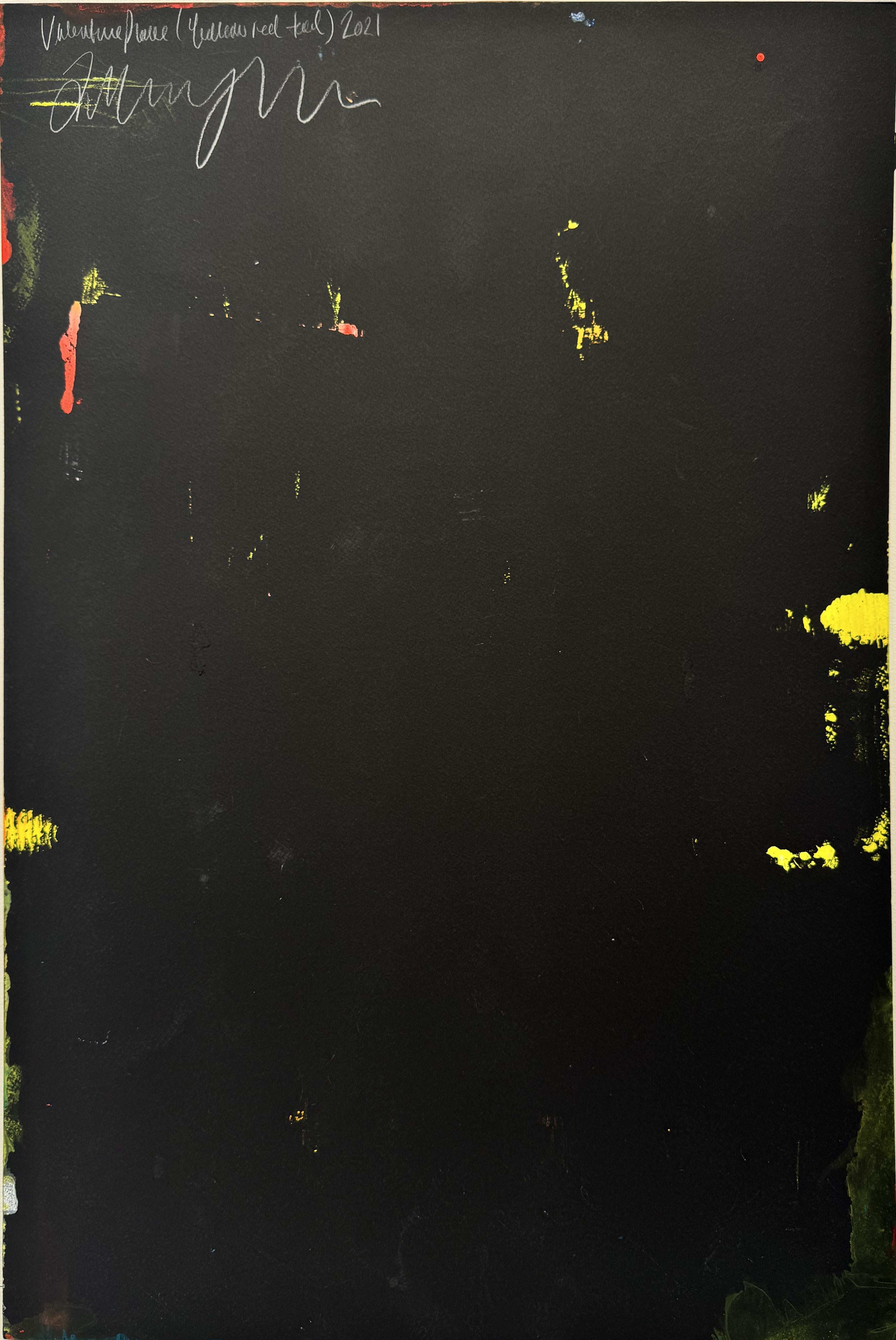 A. Valentin (Giallo Rosso Alzavola), 2021, Ptolemy Mann in vendita 1