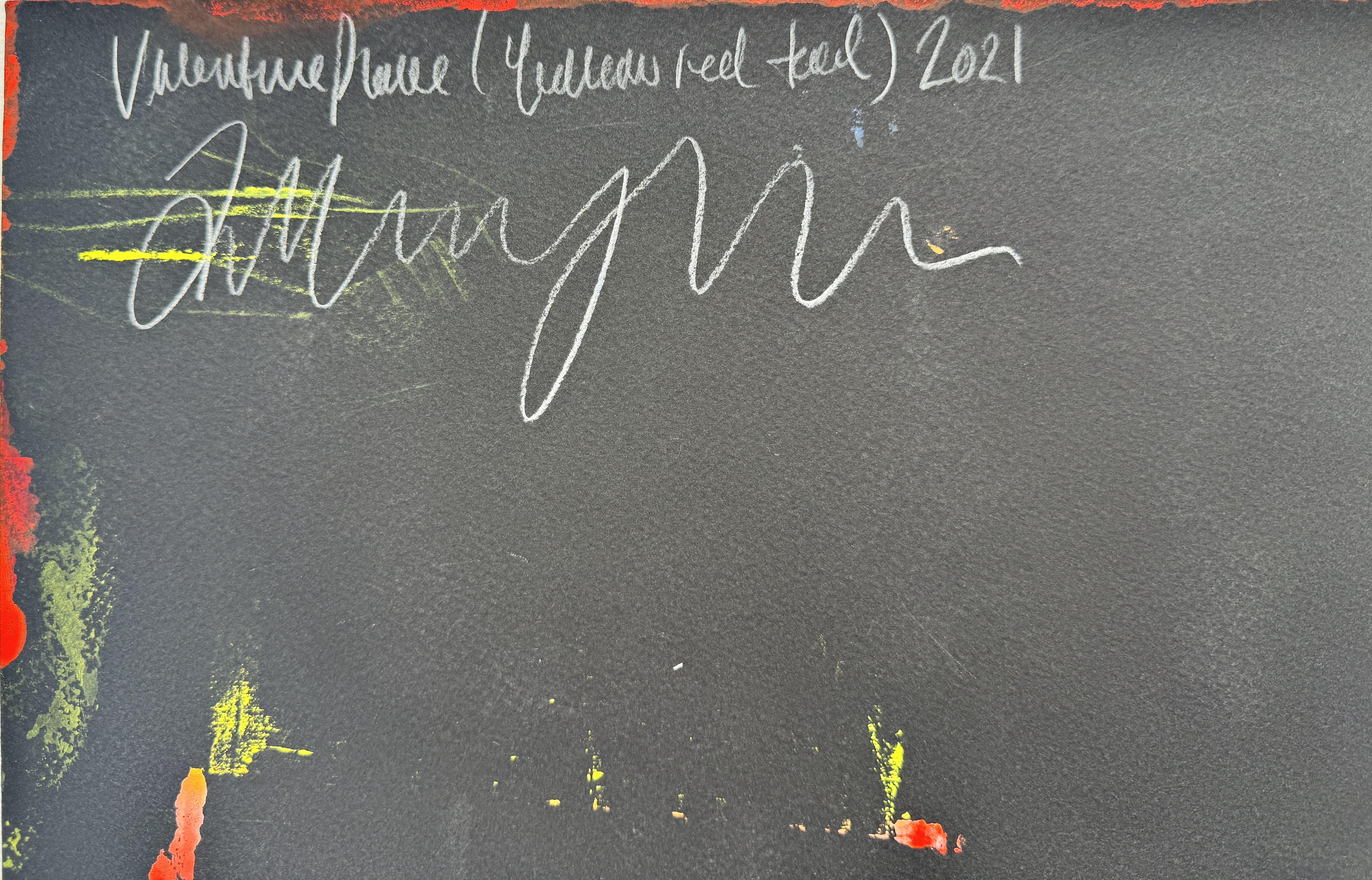 A. Valentin (Giallo Rosso Alzavola), 2021, Ptolemy Mann in vendita 2