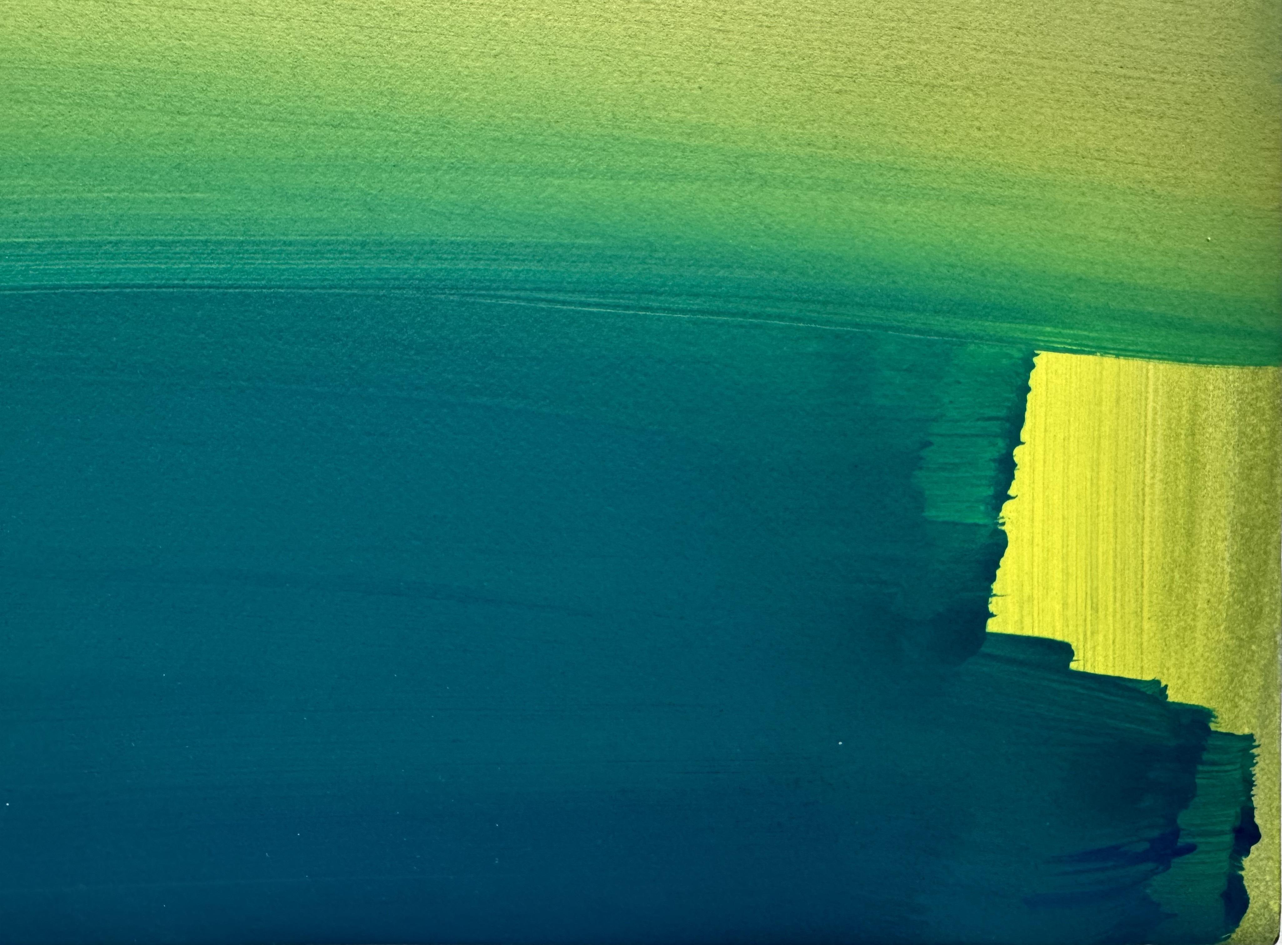 A. Valentin (Giallo Rosso Alzavola), 2021, Ptolemy Mann in vendita 4