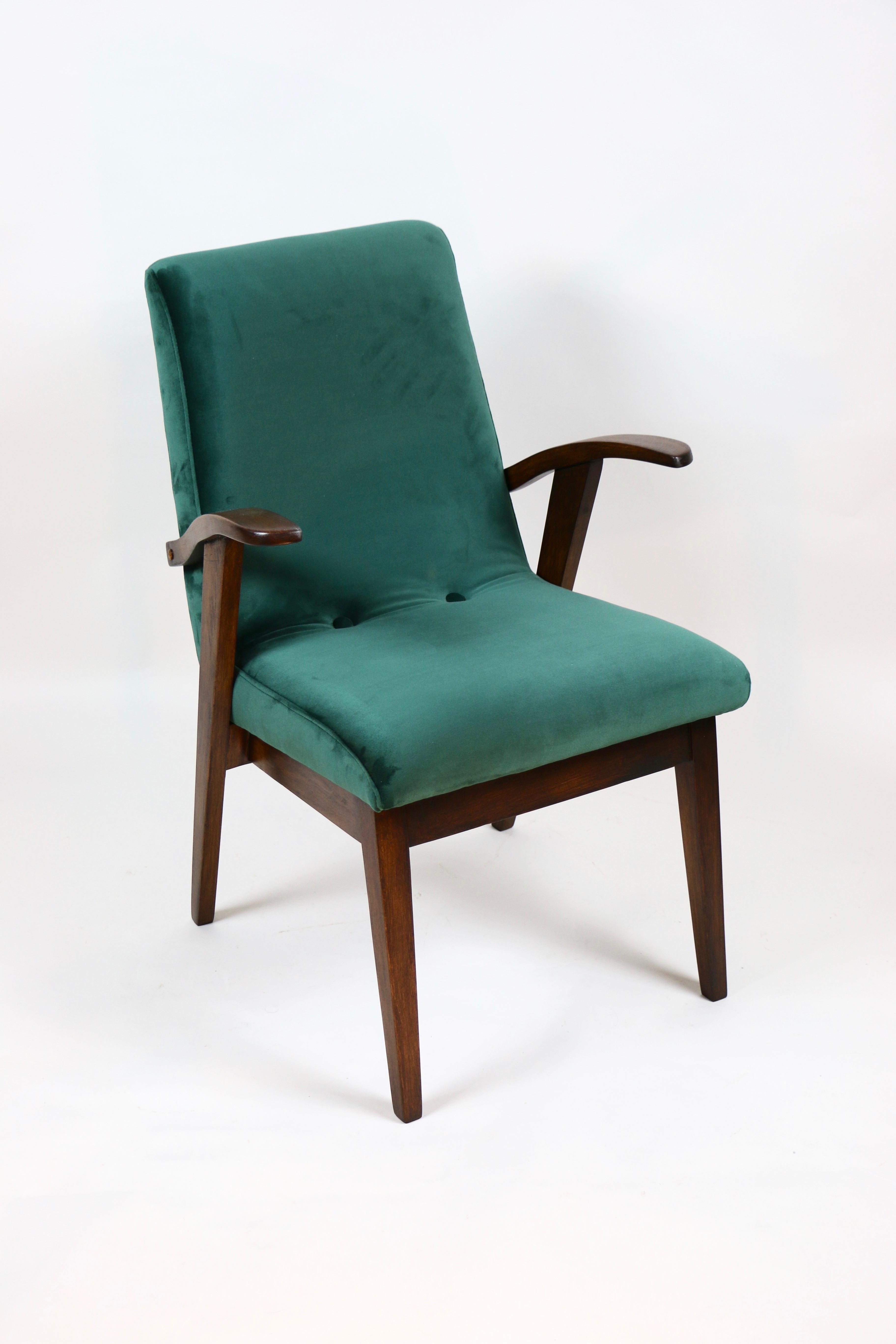 Vintage Armchair in green color from 1970s design by Mieczyslaw Puchala, completely restored, new upholstery covered with fabric in green fashionable velvet. 
Headquarters has been repainted and new upholstery covered. Wood elements in natural dark