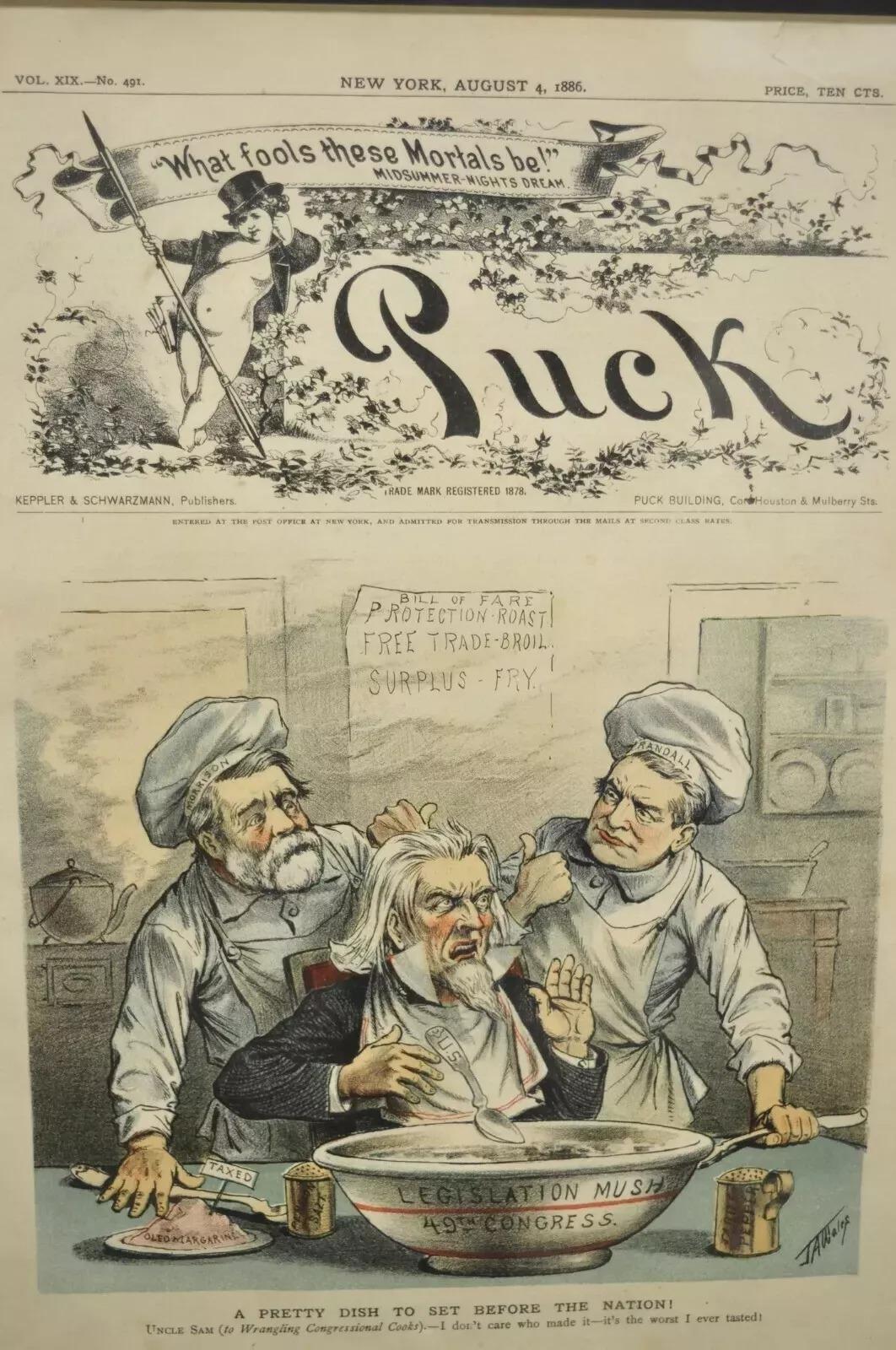 Puck Magazine Political Illustration Cartoon Lithographed Framed Art - Set von 7. Artikel verfügt über Wurzelholz benutzerdefinierte Rahmen, original Lithographien von 1886, sehr schöne antike Set. CIRCA Spätes 19. Jahrhundert. Abmessungen: Rahmen: