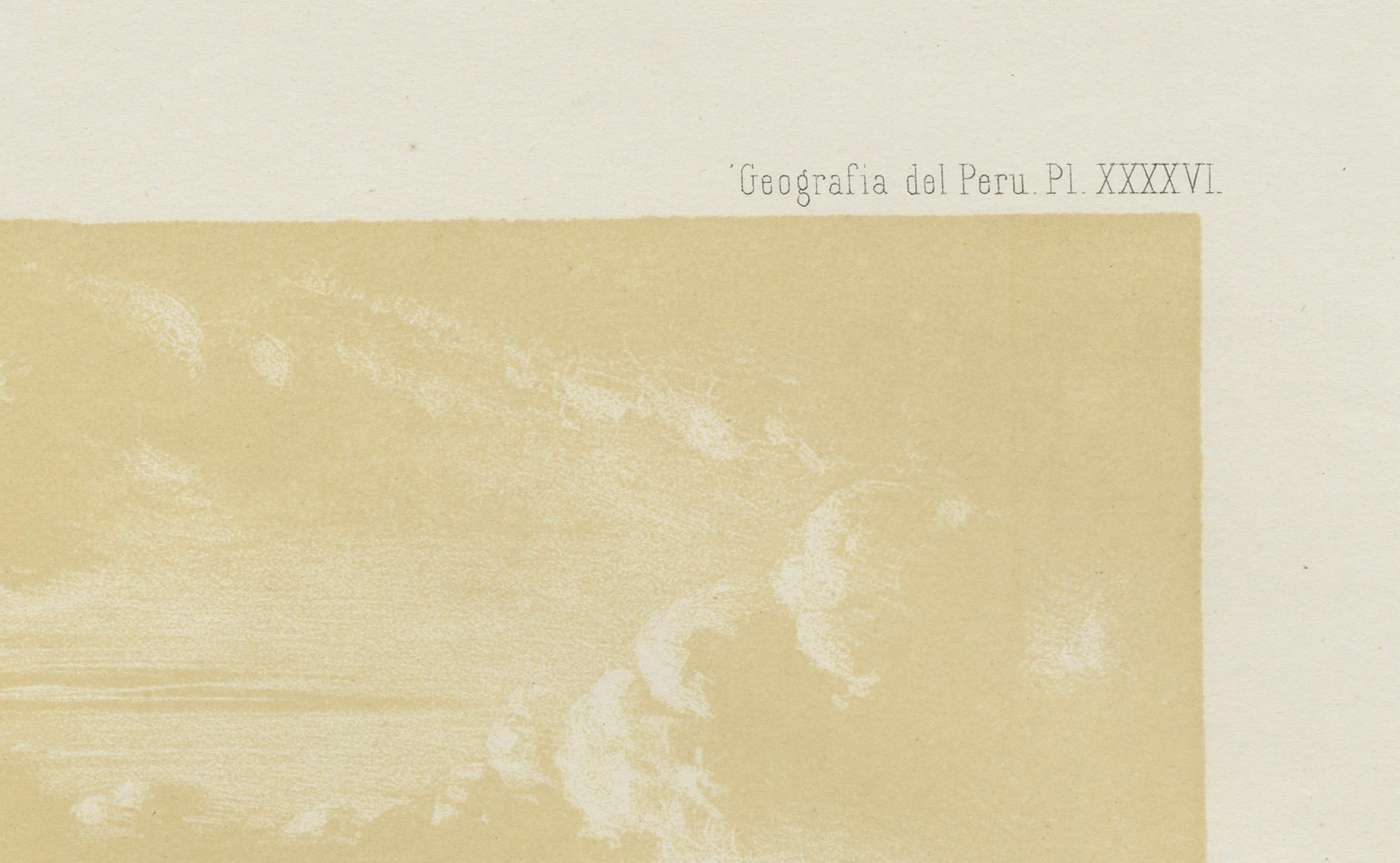Puerto de Islay Peru – Antique Coastal Port Lithograph c.1865 In Good Condition For Sale In Langweer, NL