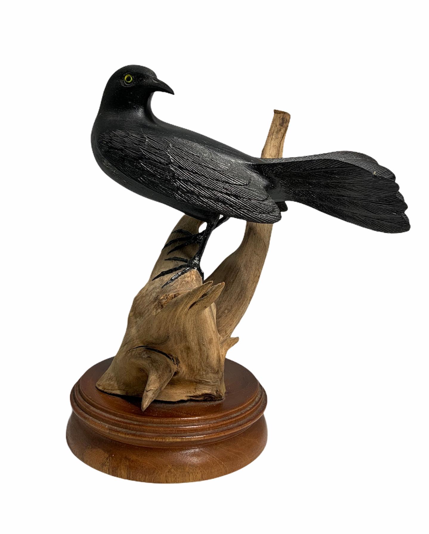 This a hand carved wood depicting an almost life size black bird (known in Puerto Rico as Chango) or Greater Antillean Grackel. He is very known for his high pitched sound or solicitation call when ready to mate. He is standing proud with a sharp