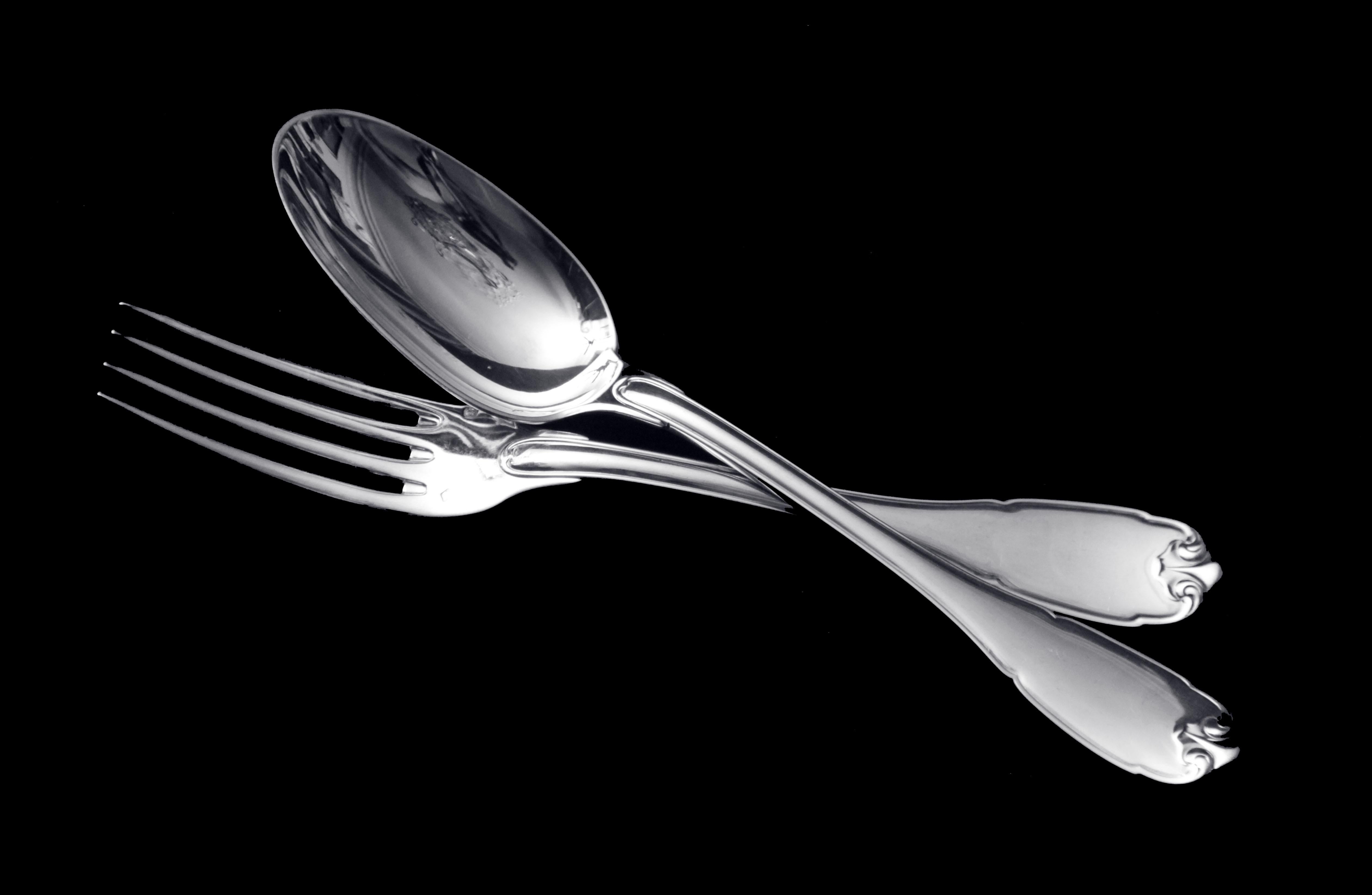 Luigi XVI Puiforcat (Hermes) - 299 pz. Antique French Sterling Silver Flatware Set, Vauban in vendita