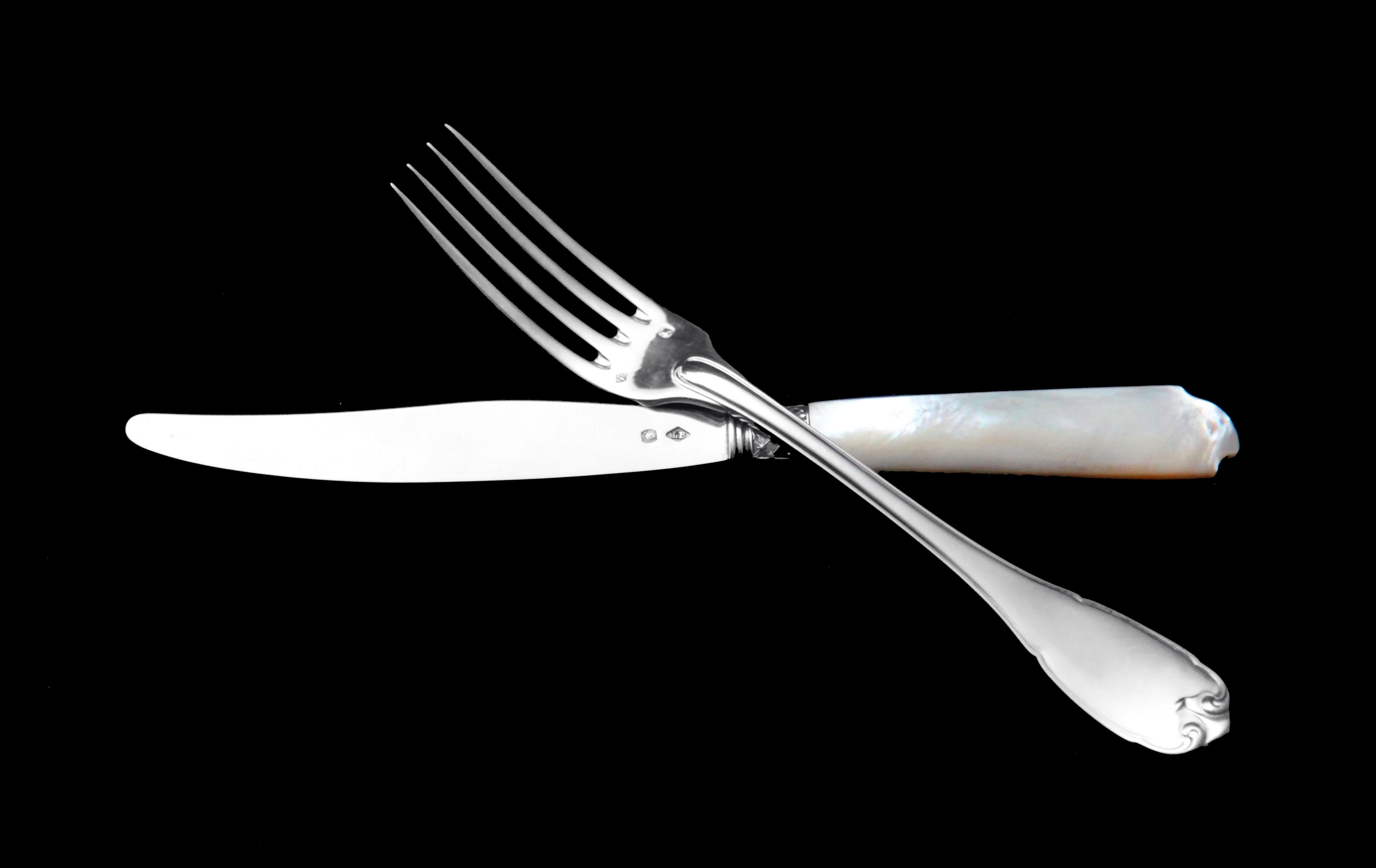 Francese Puiforcat (Hermes) - 299 pz. Antique French Sterling Silver Flatware Set, Vauban in vendita