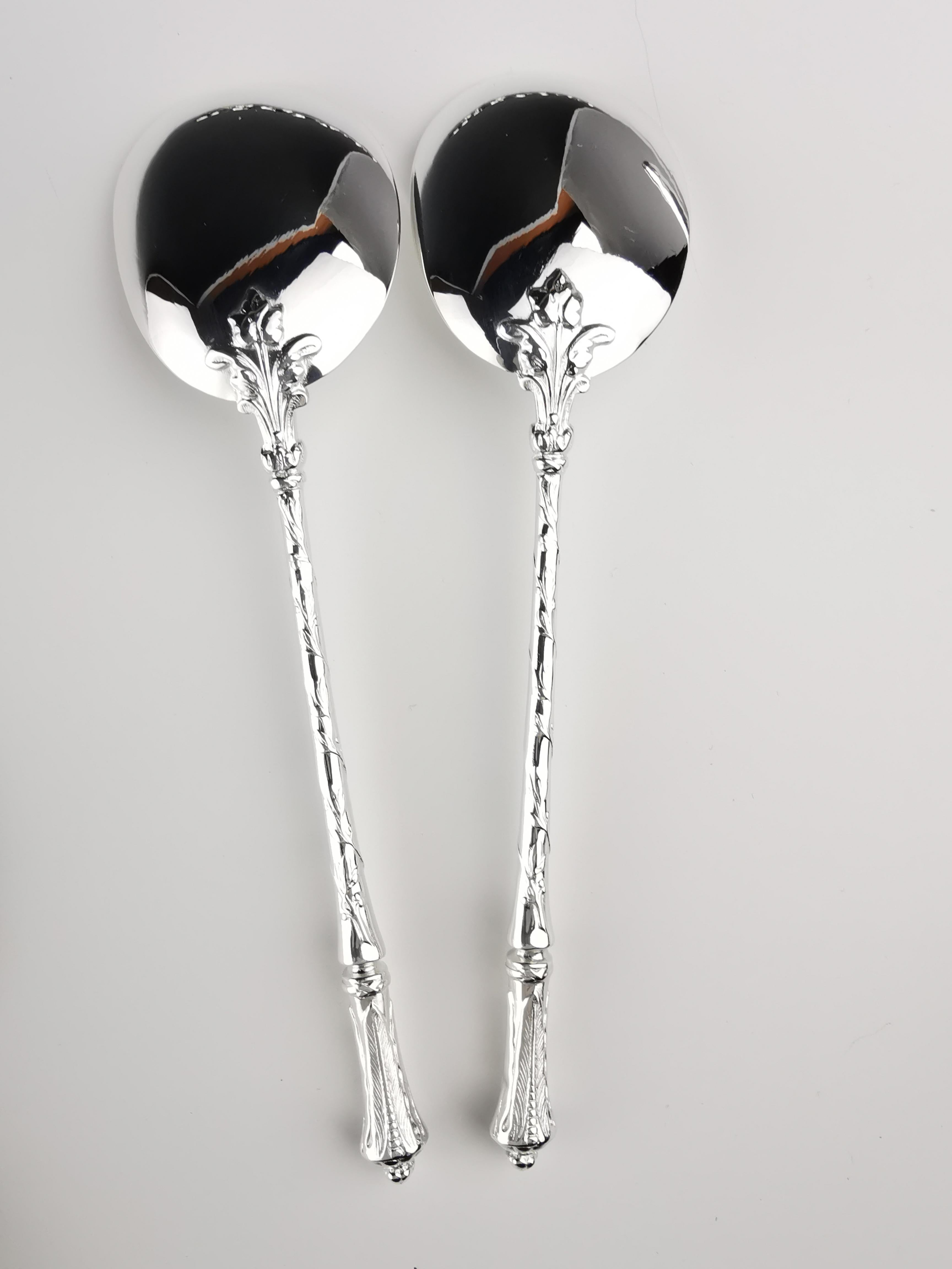 Puiforcat - Ice Cream Spoons Service - French Minerve Sterling Silver For Sale 4