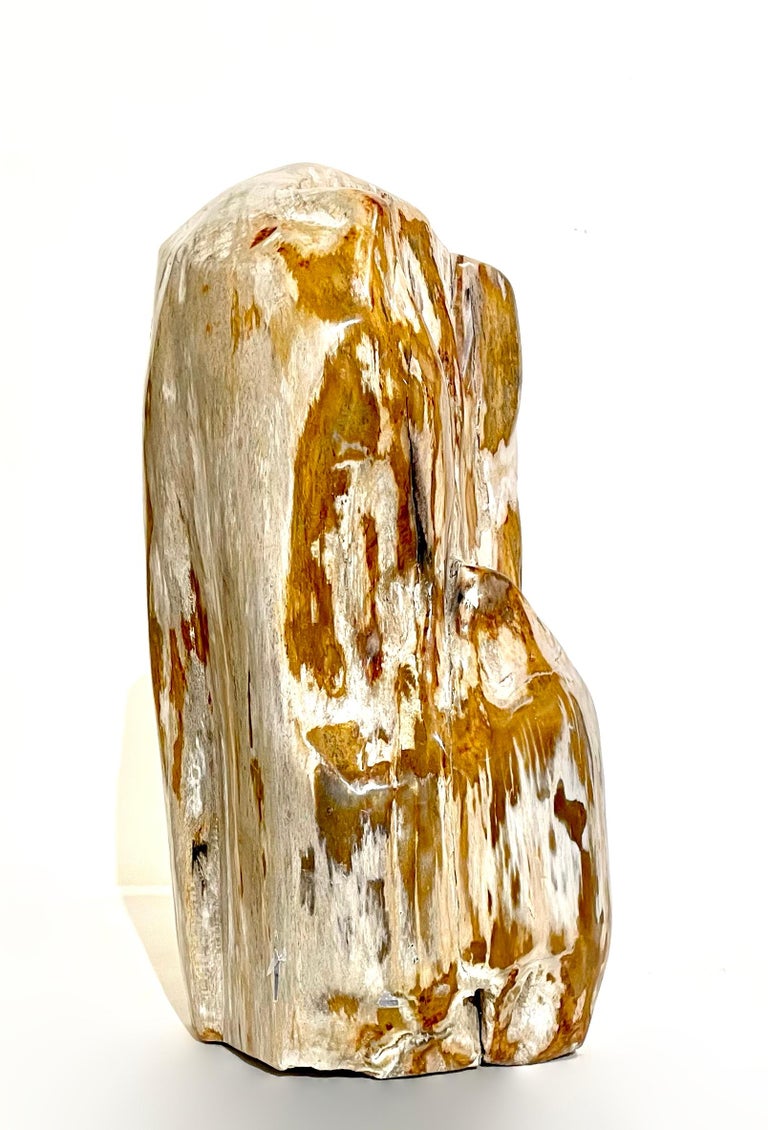 'Puja', Petrified Wood Sculpture at 1stDibs