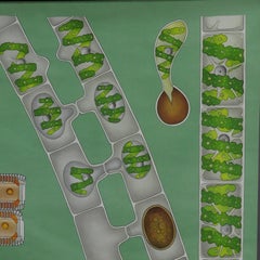 Vintage Mural Wall Chart Quentell Freshwater Algae Plants Maritime Decoration