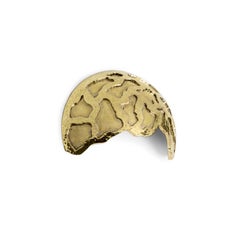 Turtle OC2021 Cabinet Hardware  Drawer Handle