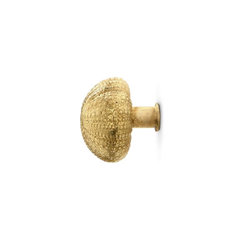 Portuguese Urchin OC2014  Cabinet Hardware  Drawer Handle For Sale