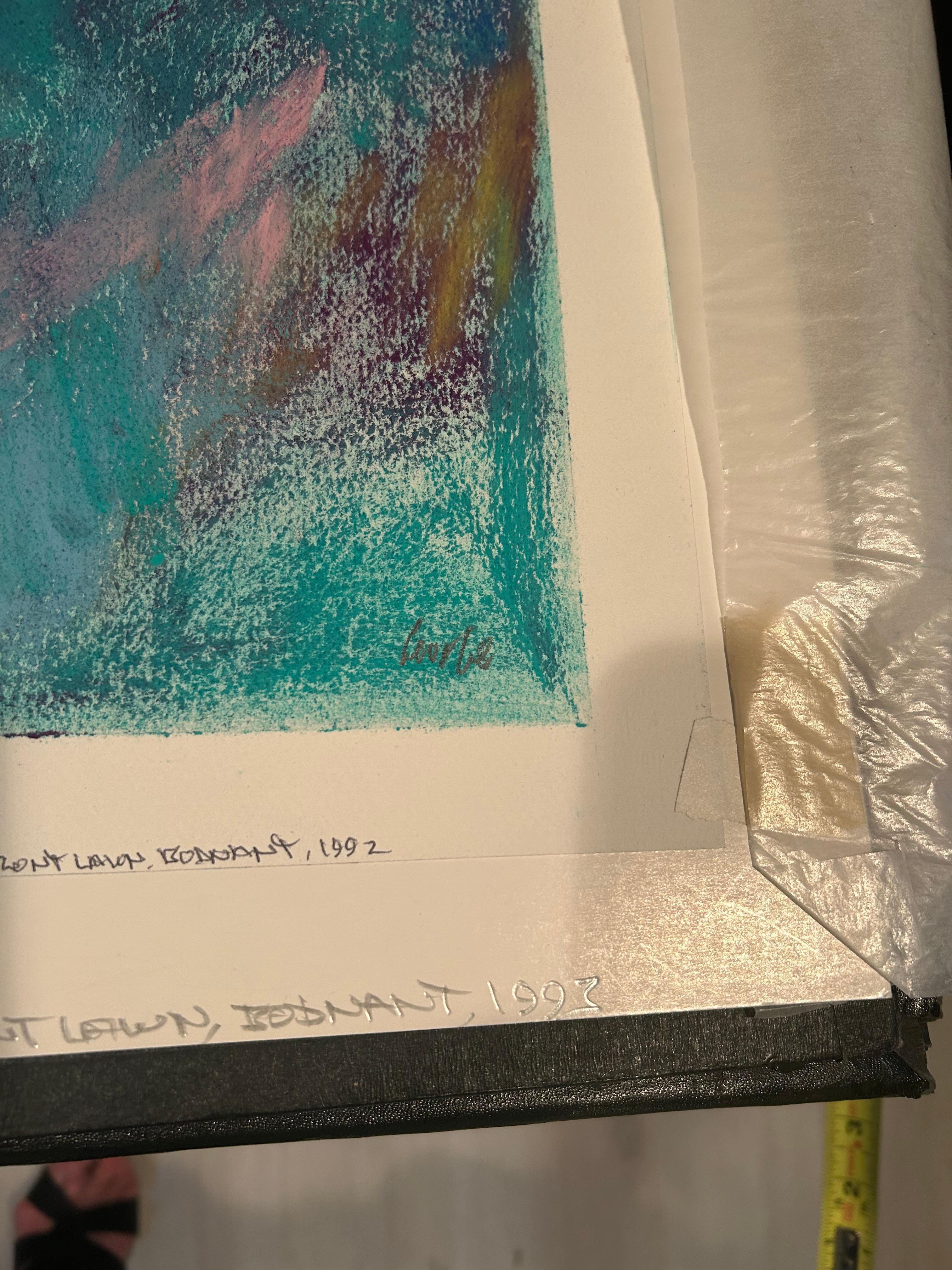 Gorgeous brilliantly colored pastel titled “Towards the Front Lawn” by famous Princeton artist Thomas George.  Image is 18 w x 23.5 h unframed.

We have access to dozens of unframed pastels by this prolific artist.  Two others of the pond at