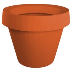 Pot de potiron à l'orange Giò Tondo de Giò Colonna Romano