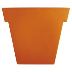 Potiron Orange Il Vaso Grand Pot par Giò Colonna Romano