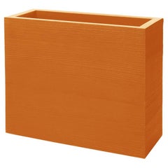 Citrouille Orange Quadra Separé Pot par Giò Colonna Romano