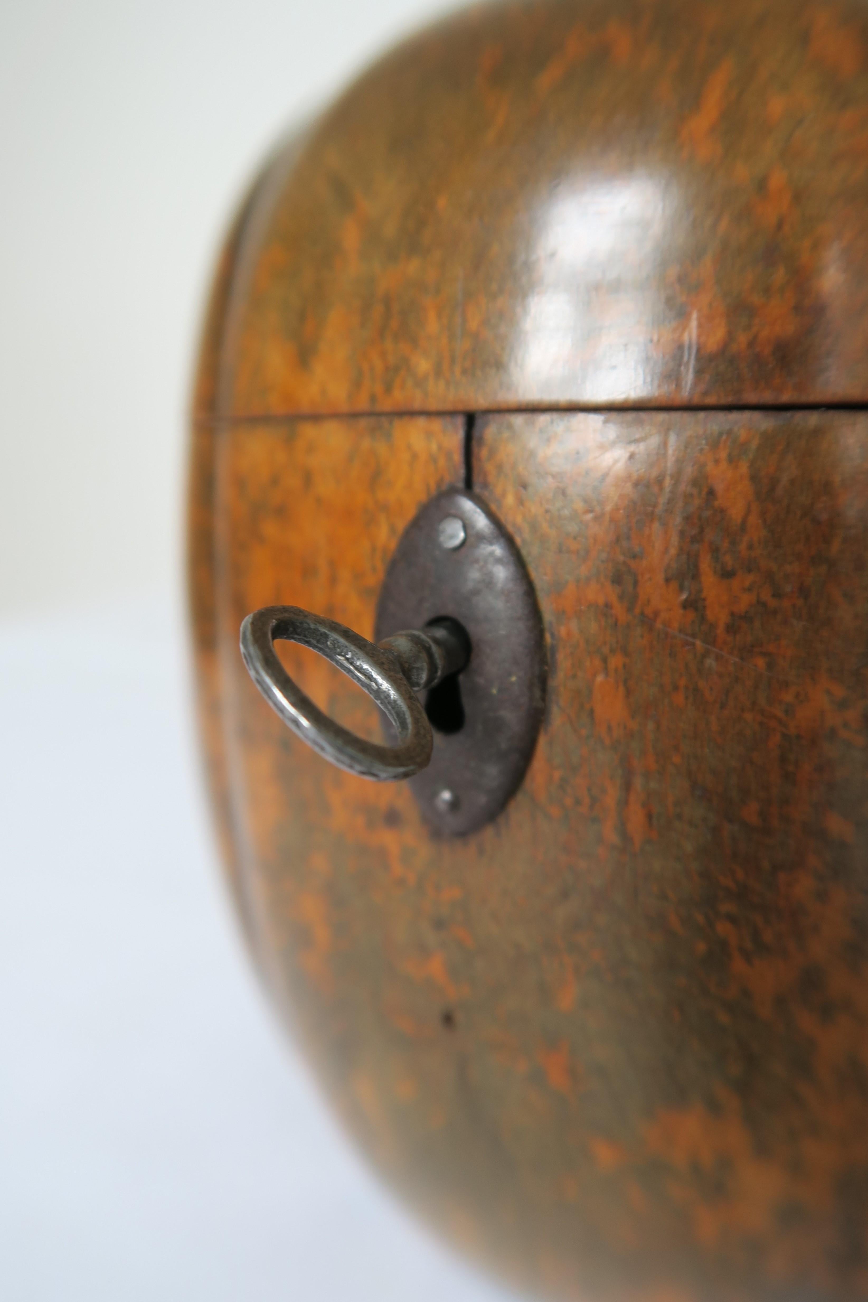 The item for sale is a beautiful tea caddy in the shape of a pumpkin. It was made in the Period of George II in 1820. The wood has been polished to a shine and varnished with a medium-dark solution. The hinge, keyhole and closing mechanism are
