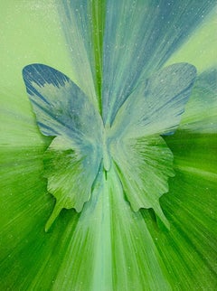 Green Spin Pop Art Butterfly with Diamond Dust / Punk Me Tender #266