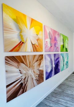 Schmetterlingskollektion mit Diamantstaub