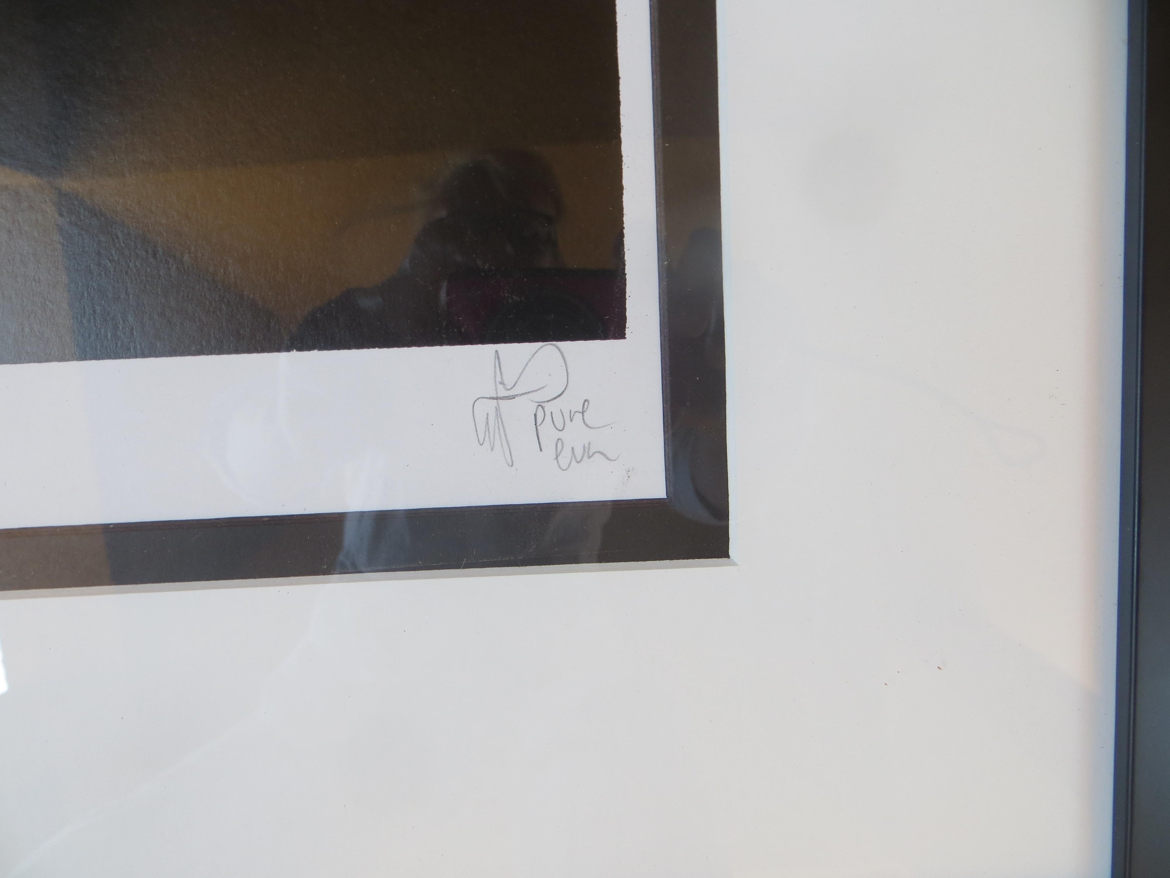Francoise Hardy After Pure Evil lithograph numbered and signed 2