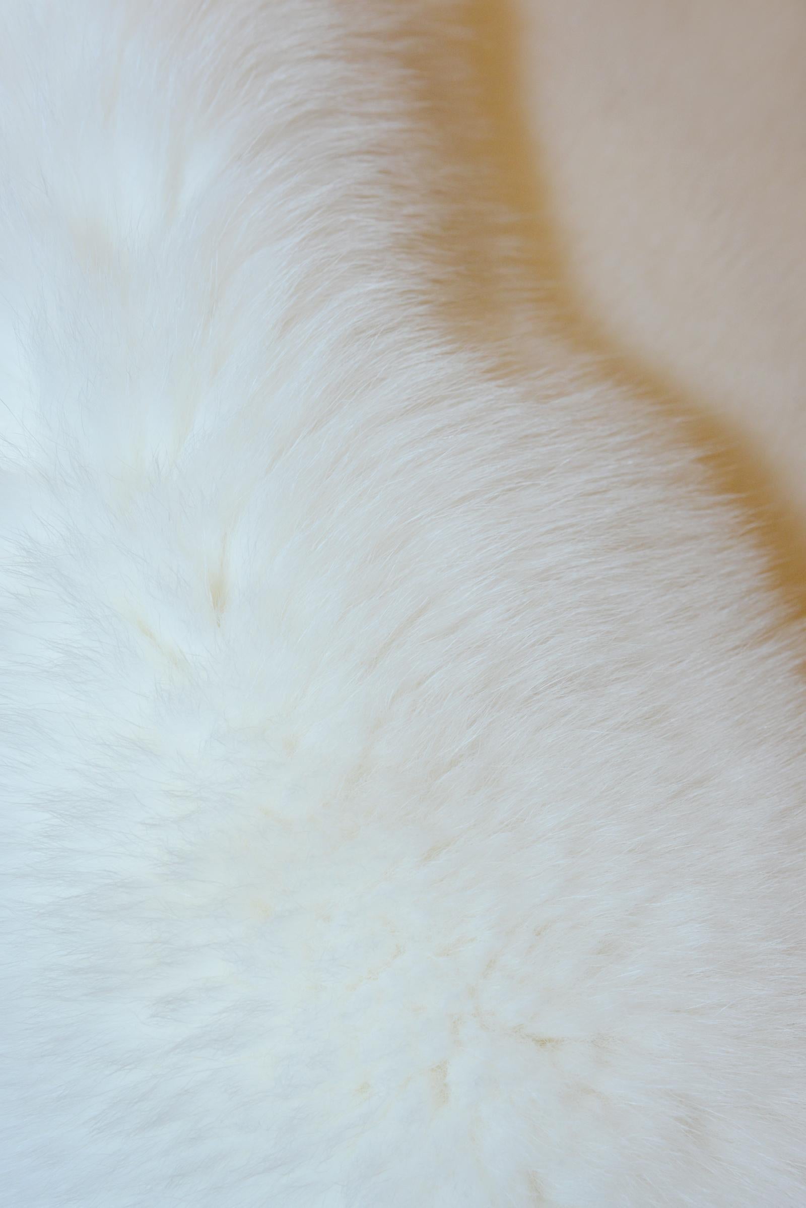 Animal Skin Pure White Scandinavian Fox Fur Plaid with Cashemire For Sale