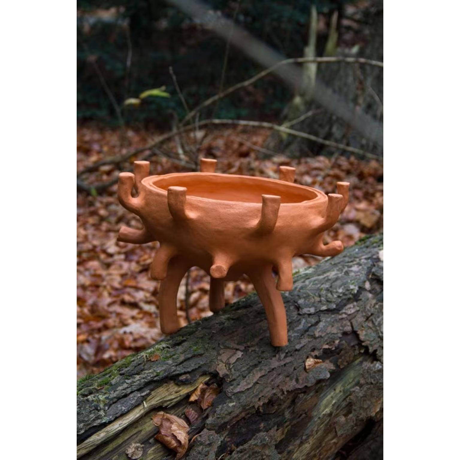 Vaso per piante Purp di Tellurico
Un pezzo unico.
Firmato e numerato.
Dimensioni: D 36 x L 36 x H 30 cm.
Materiali: Gres.

Dopo aver conseguito un Master in Design Contestuale presso la Design Academy di Eindhoven, nel 2017 Francesco Pace ha fondato