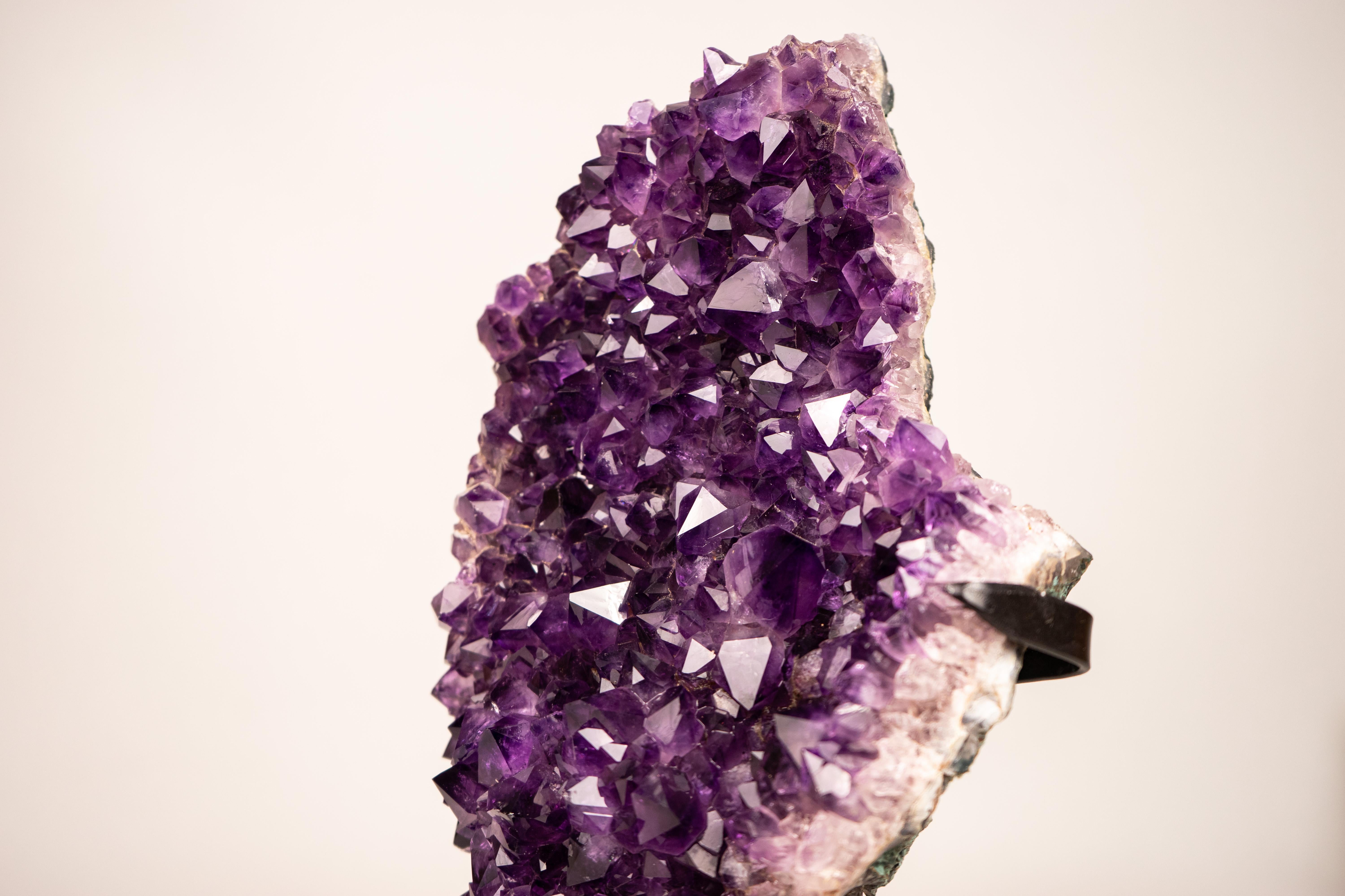 Raro e scintillante grappolo di ametista con intenso druzy viola intenso su quarzo

▫️ Descrizione

Questo geode naturale di Ametista gelatina d'uva è un vero capolavoro della natura, che mostra l'ambita tonalità viola intenso della 