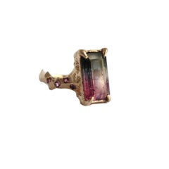 Purple Bi Color Tourmaline Baguette Ring with Garnets in 14 Karat Gold