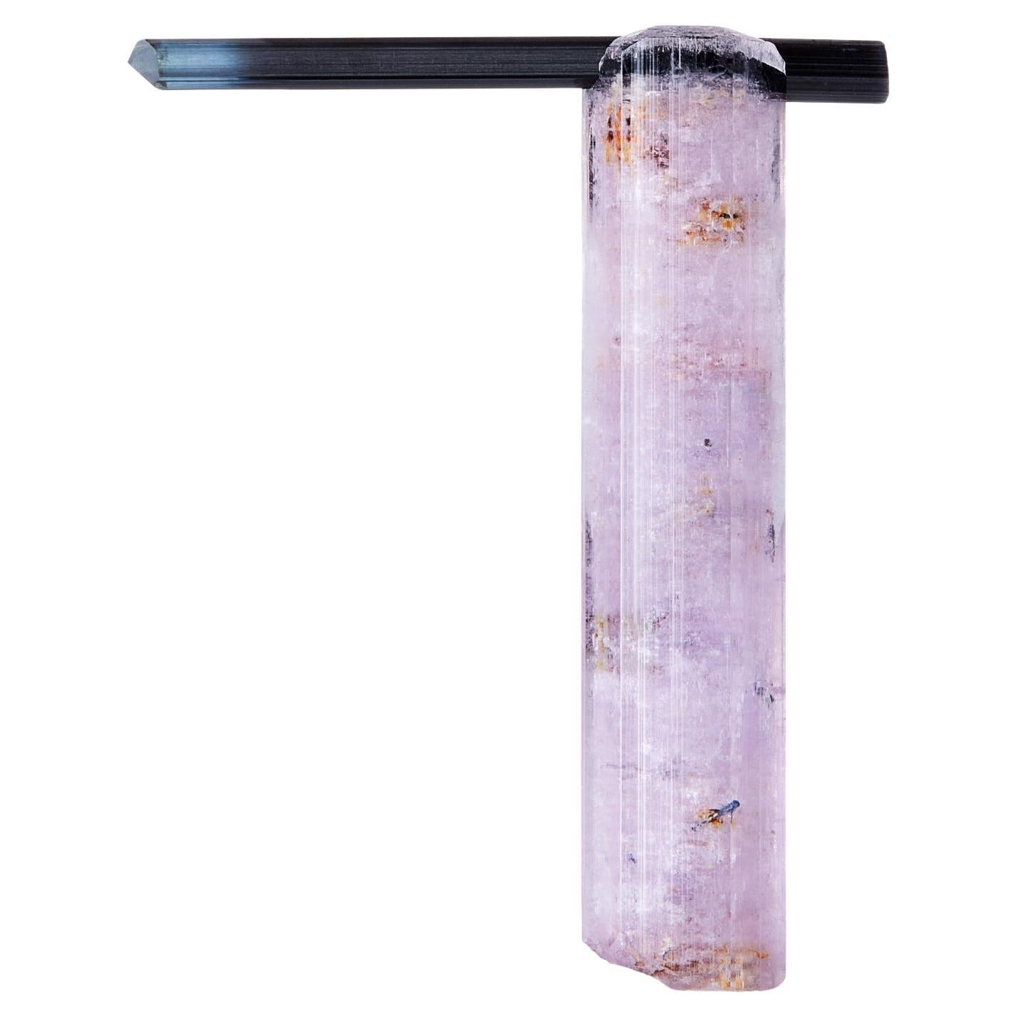 Fluorapatite violette avec tourmaline, champ de pegmatites de Golconda, Brésil en vente