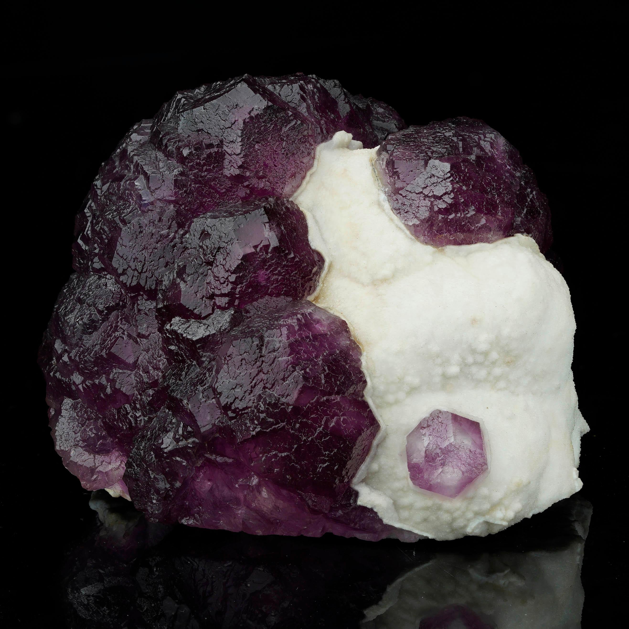 Questo vivace esemplare combinato presenta cristalli di fluorite viola, lucenti e profondamente pigmentati, che si formano su un letto bianco come la neve di quarzo massiccio scintillante. La fluorite mostra abitudini cubiche ben distinte con
