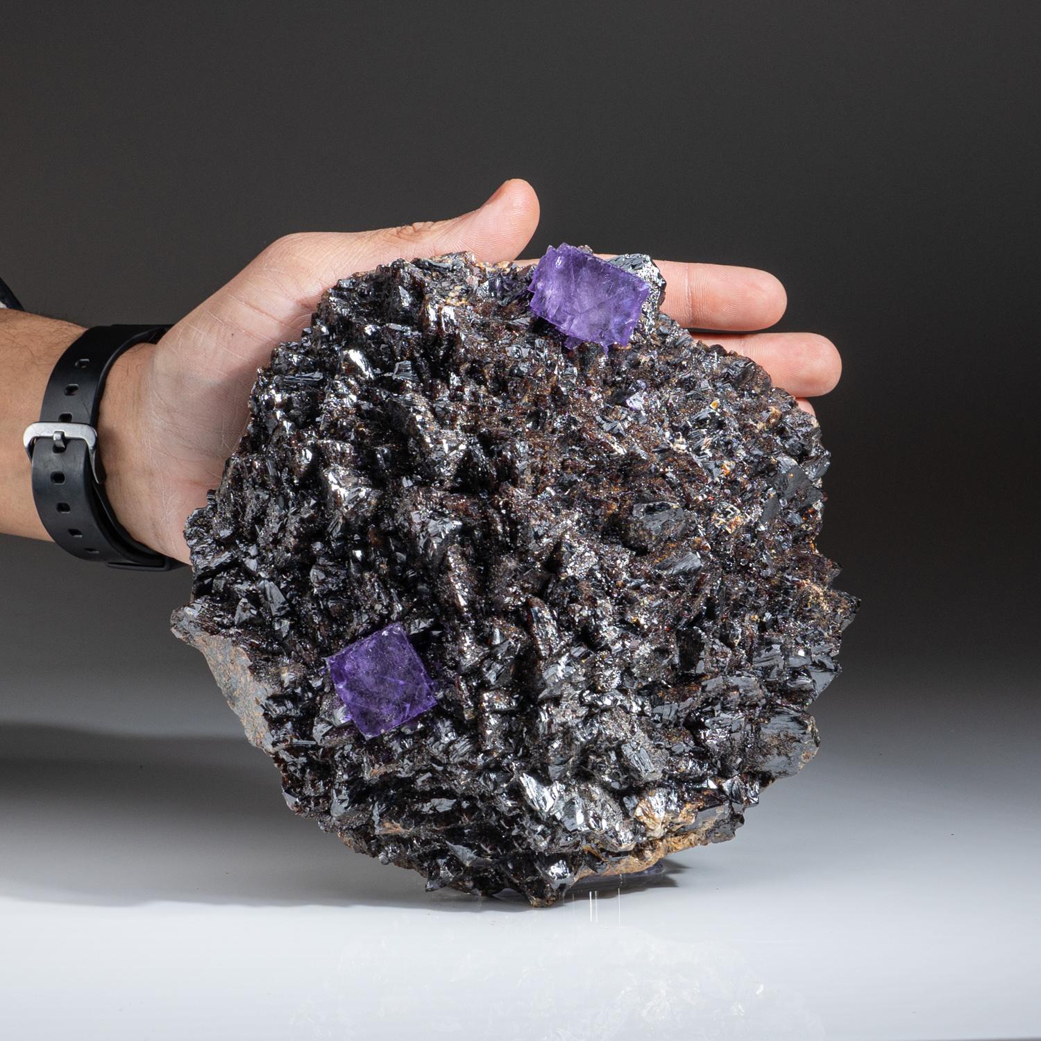  from Elmwood Mine, Carthage, Smith County, Tennessee

Transparent 3d cubic transparent purple fluorite crystals overgrown atop a cluster of metallic lustrous sphalerite crystals. The fluorite has rich purple transparent core with well defined faces