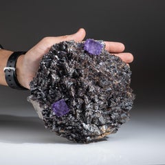 Cristalli di fluorite viola su sfalerite dalla miniera Elmwood, Carthage, Smith County