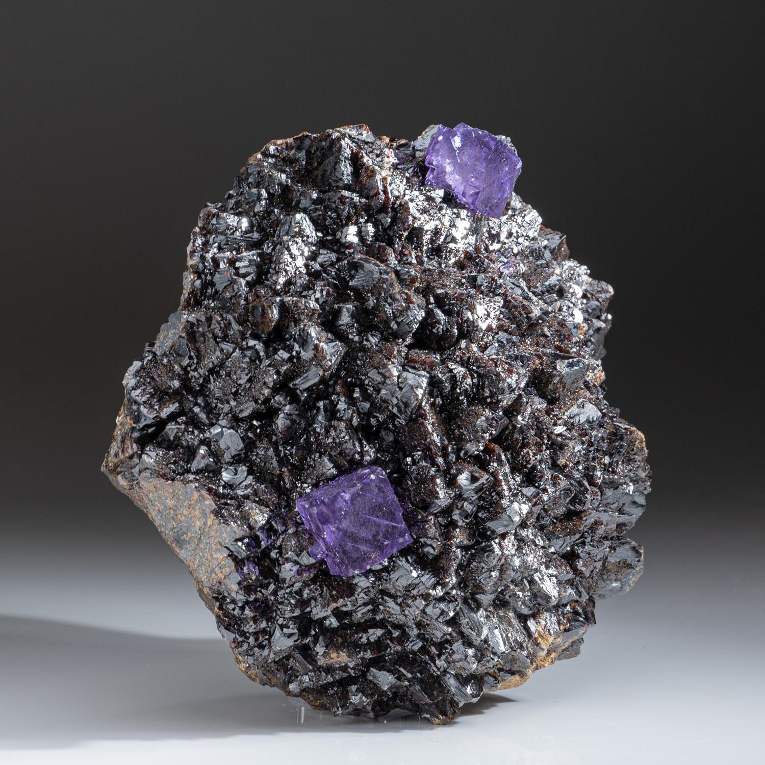 American Purple Fluorite Crystals on Sphalerite from Elmwood Mine, Carthage, Smith County For Sale