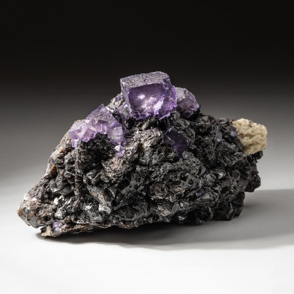 Américain Cristaux de fluorine pourpre sur sphalérite provenant de la mine Elmwoods, Carthage, Smith County en vente